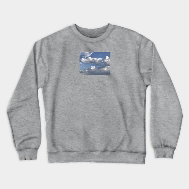 Shimmering Crewneck Sweatshirt by littlebird